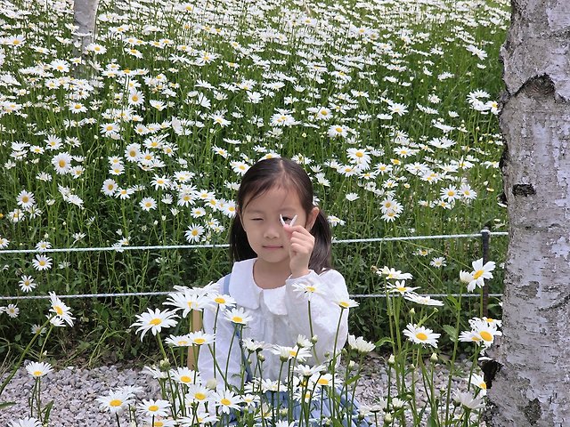 송수지