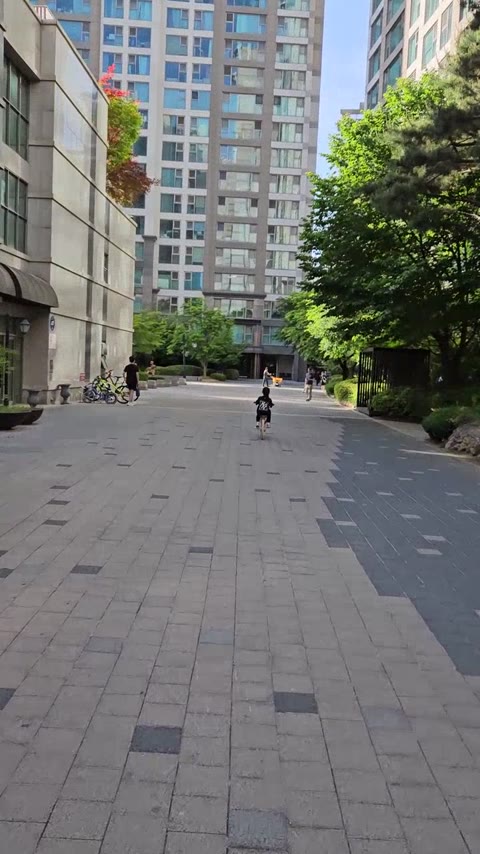 영상